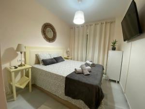ein Schlafzimmer mit einem Bett und einem Flachbildfernseher in der Unterkunft Casa Lotte, centro histórico,AC, garaje, wifi in Sanlúcar de Barrameda