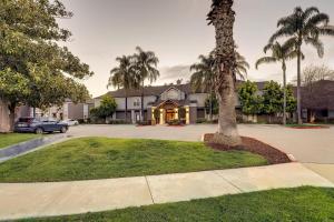 a palm tree in front of a house at Sonesta ES Suites San Jose - Airport in San Jose