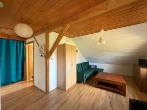 a living room with a green couch and a table at Apartament Chochlika in Rybczyzna
