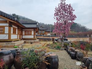 a garden with large pots and a tree in front of a building at Seondosan Hanok Stay in Gyeongju +40 photos