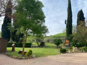 a park with a tree and a bench in the grass at Casa Vacanze Podere San Giusto Volterra in Volterra
