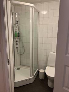 Koupelna v ubytování Fjellro på Bortelid - nær turstier og badevann