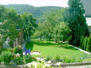 特賴斯卡爾登的住宿－Ferienwohnung Hilger，庭院里种有树木和花卉的花园