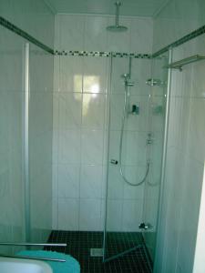 a bathroom with a shower with a glass door at Ferienwohnung Hilger in Treis-Karden