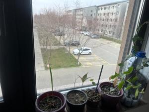 Fotografie z fotogalerie ubytování Louisa Apartament v destinaci Constanţa