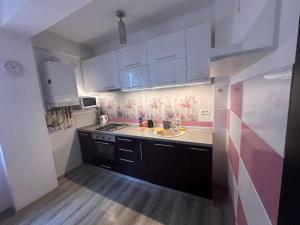 Kuchyň nebo kuchyňský kout v ubytování Louisa Apartament + 5 fotografií