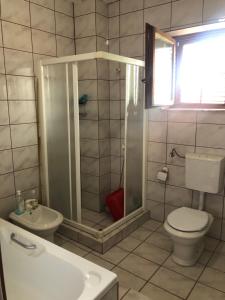 a bathroom with a shower and a toilet and a sink at Marko and Mila apartment in Prilep +8 photos