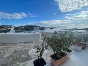 a group of potted plants on a ledge with a river at Specchio Marino in Ponza +4 photos