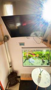 TV a/nebo společenská místnost v ubytování frente al mar tiny house
