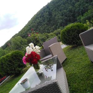 a vase of flowers sitting on a table with a view at Sobe i apartmani Simic in Ribarska Banja
