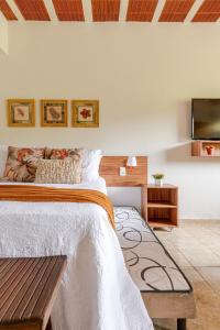 a bedroom with a bed and a tv on a wall at Bonito Charmoso no Hotel Pedra do Rodeadouro Bonito PE in Bonito