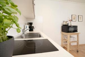 Kuchyň nebo kuchyňský kout v ubytování Blankwasserweg 131 Lensterstrand Oase Bungalow 4