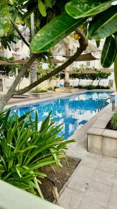 a large swimming pool in a yard with plants at Brand new apartmentWith a nice view balcony in Seeb