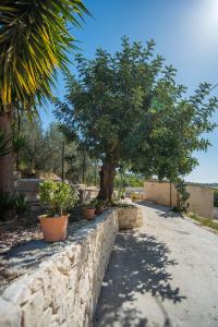 Afbeelding uit fotogalerij van Bed & breakfast Giulio in Noto +41 foto's