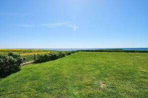 a large field of grass with the ocean in the background at Strandbrise in Fehmarn +11 photos