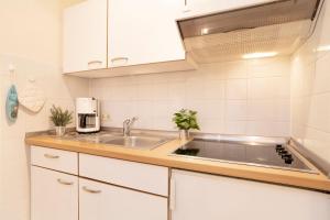 Kuchyň nebo kuchyňský kout v ubytování Lindenbuschen 2 Wohnung 3