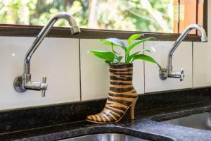 une plante dans une botte en caoutchouc posée sur un évier de cuisine dans l'établissement Recanto da Margo 1, casa com acesso a cachoeira, à Parati 135 autres photos