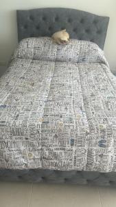 a bed with a comforter with a cat laying on it at Espectacular Apartamento en Santa Marta in Playa Bello Horizonte +22 photos