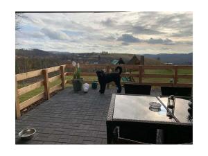Un chien noir se tient sur la terrasse. dans l'établissement Holiday home with 3 bedrooms, à Sankt-Andreasberg