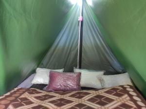 KedārnāthCamp wala的绿色帐篷内一间卧室,配有一张床