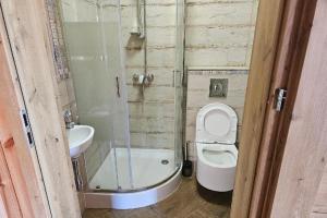 a bathroom with a shower and a toilet and a sink at Holiday homes with a private beach on the lake in Grąbczyn