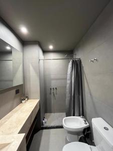 a bathroom with a toilet and a shower at Edificio Pantera - Soñar es crear in San Martín de los Andes