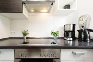 une cuisine avec un évier et un plan de travail dans l'établissement Dat Ostseehus, à Kraksdorf