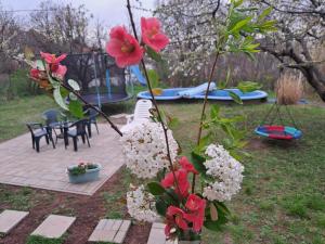 Vonkajšia záhrada v ubytovaní MALIBU APARTMENT BALATON NORTH