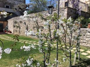 een boom met witte bloemen voor een stenen muur bij Agriturismo I Gelsi di Santa Cristina in Gubbio