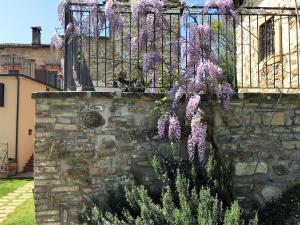 una cerca con glicinas púrpuras colgando de ella en Agriturismo I Gelsi di Santa Cristina, en Gubbio