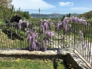 un montón de flores púrpuras en una valla en Agriturismo I Gelsi di Santa Cristina, en Gubbio