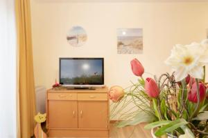 TV a/nebo společenská místnost v ubytování Lindenbuschen 2 Wohnung 6