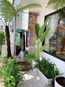 Zahrada ubytování Chút Homestay