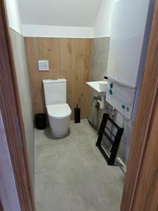 łazienka z toaletą i umywalką w obiekcie Relax Apartman Bükfürdő w Bukfurdo +8 zdjęć