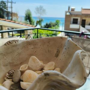 a bowl filled with shells on a balcony at Las sirenas maisonnettes by the beach groundfloor and semi basement in Chrysi Ammoudia