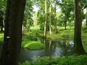 Przyroda w pobliżu tej kwatery prywatnej