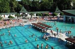 a group of people in a swimming pool at Alfa Apartman in Harkány
