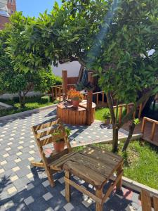 Zahrada ubytování Guest House Adilaj + 10 fotografií