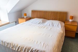 Postel nebo postele na pokoji v ubytování Apartment Poustevník