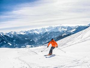 Spacious apartment with mountain view durante l'inverno