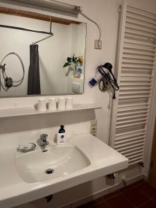 a bathroom with a white sink and a mirror at Ferienhof Westermann Waldblick in Lähden