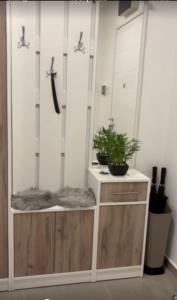 een kast met een potplant erop bij Apartman Agave in Trebinje