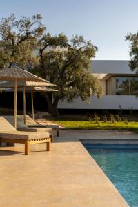 Bazén v ubytování Botanico Villa & Suites nebo v jeho okolí