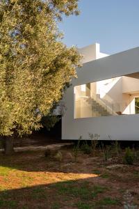 Zahrada ubytování Botanico Villa & Suites