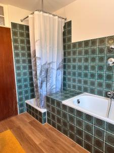 y baño con bañera y cortina de ducha. en Schöne große Wohnung - Top Lage, en Ravensburg 35 fotos más