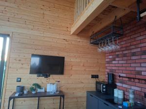 a room with a television on a wooden wall at Domek w Sośninie, stodoła Dzierżenin in Dzierzenin