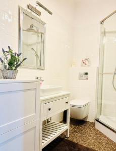 华沙Moon River apartment in Warsaw premium location close to metro的带水槽和马桶的白色浴室