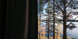 Příroda nedaleko hotelu