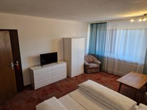 TV a/nebo společenská místnost v ubytování HOTEL WALDHORN