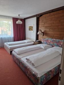Katil atau katil-katil dalam bilik di HOTEL WALDHORN